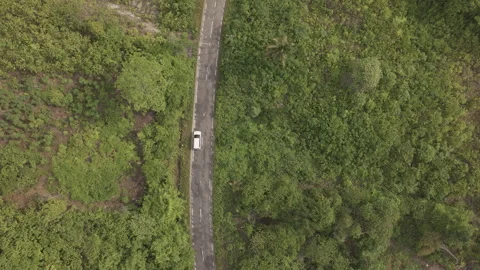 Tracking Shot Car Moving Through Banggai Landscape  Sulawesi D-Log M LOG Format Stock Footage 316221373