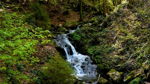 Tracking shot of a cascade waterfall in the Black Forest Stock Footage 128717028
