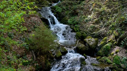 Tracking shot of a cascade waterfall in the Black Forest Stock Footage 128717578