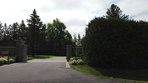 Tracking shot Cedar hedge 4K Stock Footage 136908224