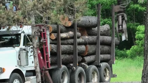 A Tracking Shot of a Cherry Picker Loading Logs Vidéo 156720065
