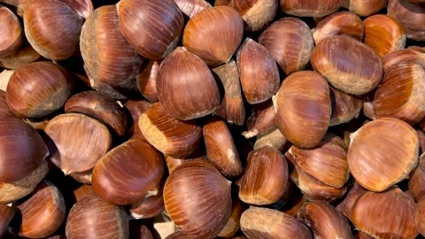 Tracking shot of chestnuts displayed Video stock 317408324
