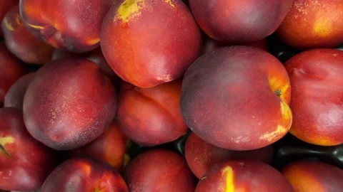 Tracking shot in close up on nectarine peaches Stock Footage 312518149