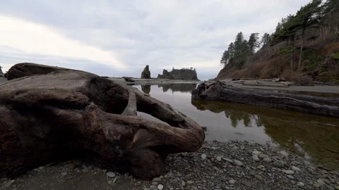 Tracking shot of coastal driftwood at Ruby Beach in Oregon coast Video stock 130230581