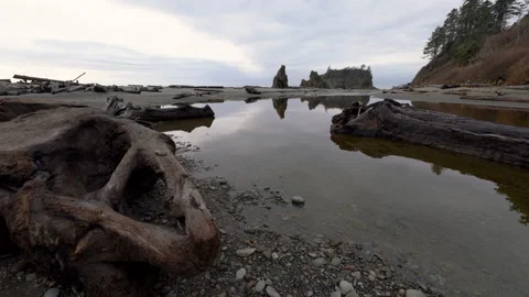 Tracking shot of coastal driftwood at Ruby Beach in Oregon coast Video stock 130231157