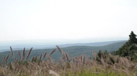 Tracking shot of Dan Ingall's Overlook in Warm Springs Virginia Video stock 41431867
