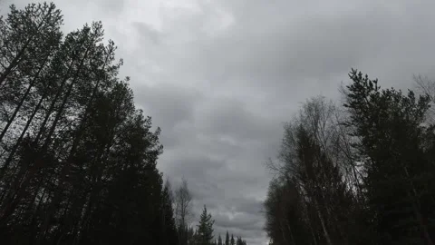 Tracking shot of dark clouds over forest treetops Stock Footage 318921488