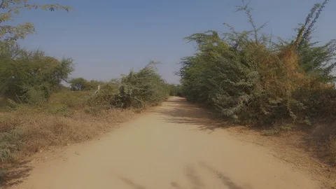 Tracking shot of a Desert Road with thorny trees Stock Footage 123052016