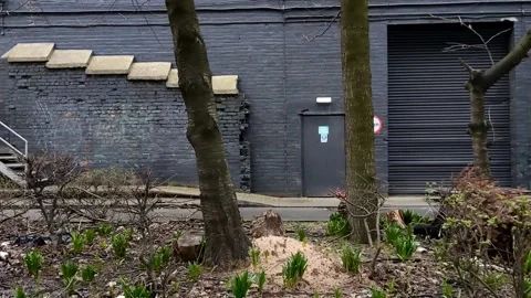 Tracking shot of a doorway Video stock 171799275
