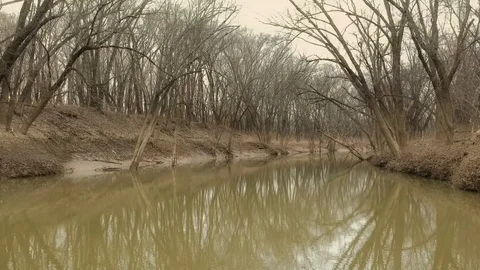 Tracking shot down muddy river with barren trees Stock Footage 100416586