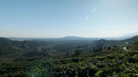 Tracking Shot - Dreamy view on the vineyard of Valdobbiadene - 4k Stock Footage 115507464