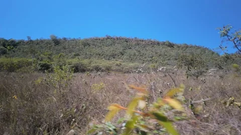 Tracking shot a dry mountain landscape in the tropical savanna Stock Footage 340276510