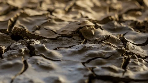 Tracking shot drying earth moving mud macro drying wet soil timelapse drought Stock Footage 104661047