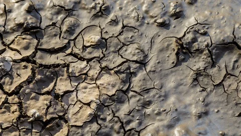 Tracking shot drying earth moving mud macro drying wet soil timelapse drought Stock Footage 104661050