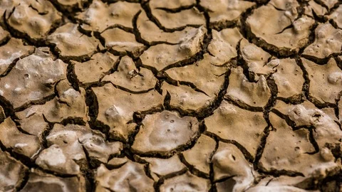 Tracking shot drying earth moving mud macro drying wet soil timelapse drought Stock Footage 117417299