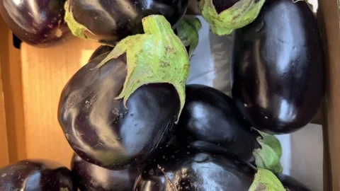 Tracking shot of eggplant in top view Stock Footage 280083893