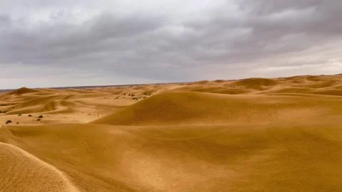 Tracking shot empty desert road under cloudy sky in HD serenemotion Vidéo 333605247