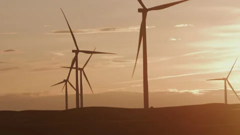 Tracking shot of energy producing wind turbines at sunset Stock Footage 235467861