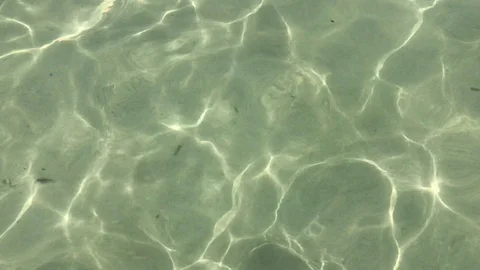 Tracking Shot Exit From The Sea And Walking At The Beach Stock-Footage 116615549