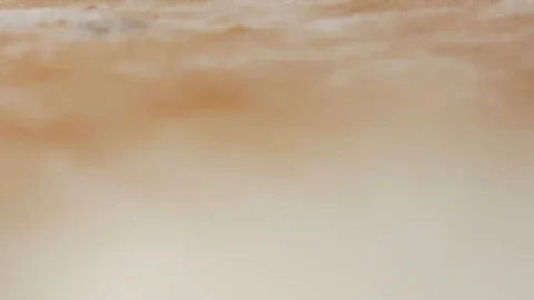 Tracking shot on floured working table Stock Footage 84193963