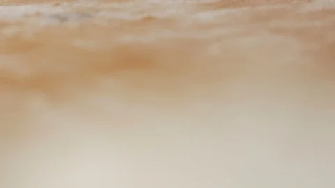 Tracking shot on floured working table Stock Footage 112815480
