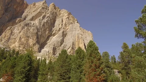 Tracking shot from Forcelles to pines Stock Footage 79886828