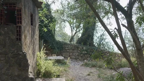 Tracking shot forward along a rural path. Stock Footage 276606729