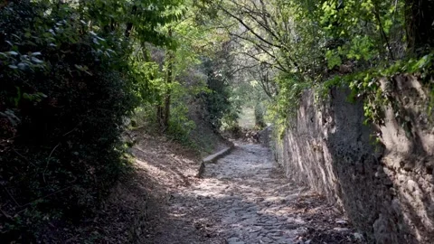 Tracking shot forward along a rural path. Stock-Footage 276606767