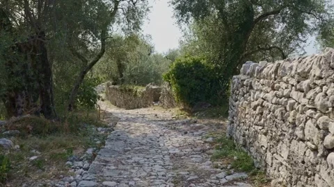Tracking shot forward along a rural path. 库存影片 276606786