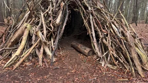 Tracking shot going inside a cozy branch hut in a serene forest setting. Stock Footage 315664501