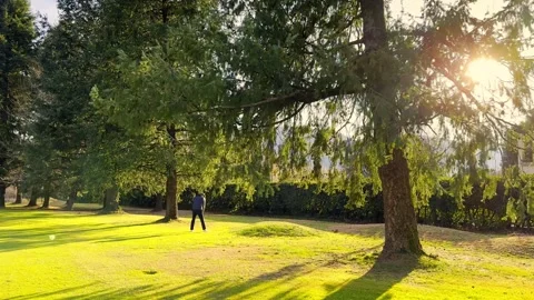 Tracking Shot on an Golfer Concentrated Before Making a Golf Swing in the Trees Stockbeeldmateriaal 265216755