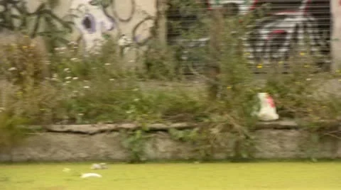 Tracking shot of graffiti on wall along urban canal Video stock 10734701