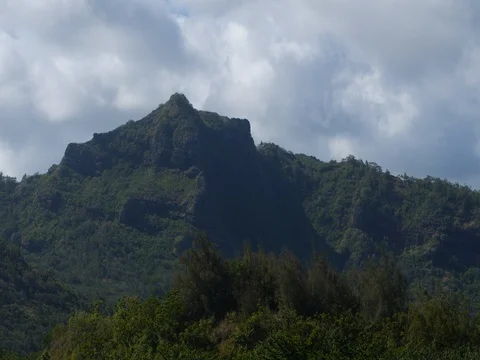 Tracking shot of Green Kauai Stock Footage 80390377