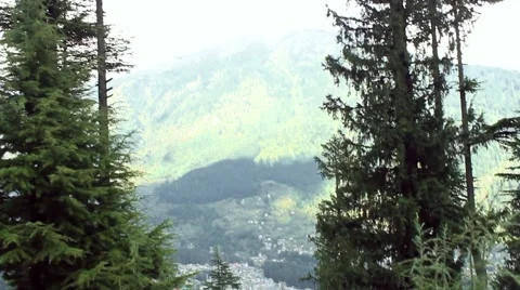 Tracking shot ground to sky and mountains in beautiful Himalayan forest regio Stock Footage 58144733