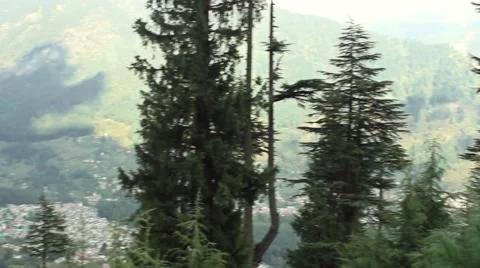 Tracking shot ground to sky in beautiful Himalayan forest region Stock Footage 58144444