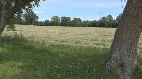 Tracking shot of a hay field Stock Footage 61562586