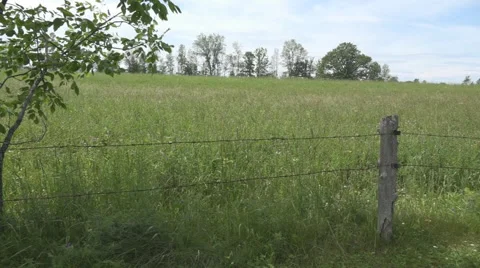 Tracking shot of a hay field Stock Footage 61562639