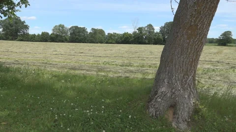 Tracking shot of a hay field Stock Footage 61562736