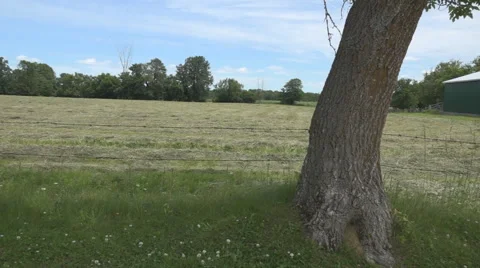 Tracking shot of a hay field Stock Footage 61562741