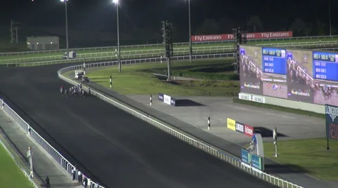 Tracking shot of horses at a horse race in Dubai, UAE Stock-Footage 59148210