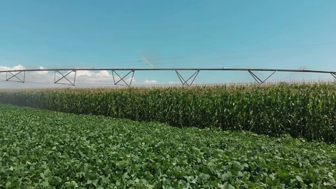 Tracking shot irrigation system on a field Stock Footage