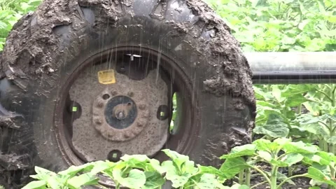Tracking shot of irrigation wheel drive and sprinklers Stock Footage 336193457