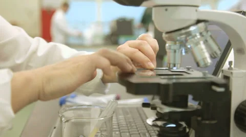 Tracking shot of lab technician placing slide under microscope Stock Footage 34426651