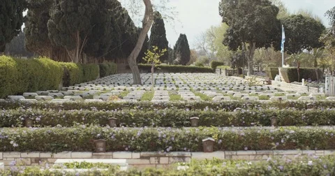 Tracking shot of a large military cemetery Stock Footage