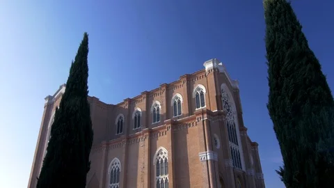 Tracking shot - Left side of the montebelluna dome behind the trees - 4k Vídeos de archivo 99254748
