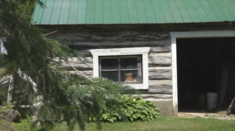Tracking shot of a log cabin. Stock Footage 61560478