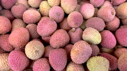 Tracking shot on Madacascar lychee Stock Footage 296701299