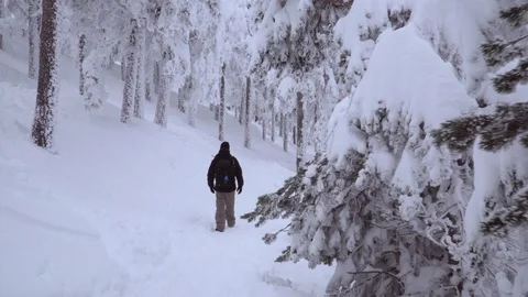 Tracking shot of man entering the freezing nature. Stock Footage 86227809