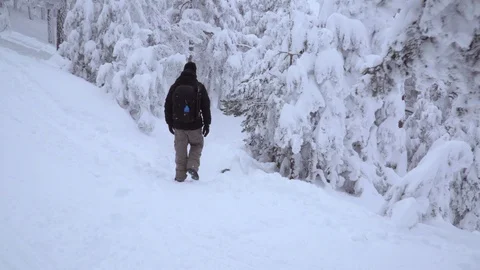 Tracking shot of man walking into iced nature Stock Footage 86227494