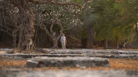 Tracking Shot of Man Walking in Nature on Path Through Mediterranean Island Stock Footage 126259784